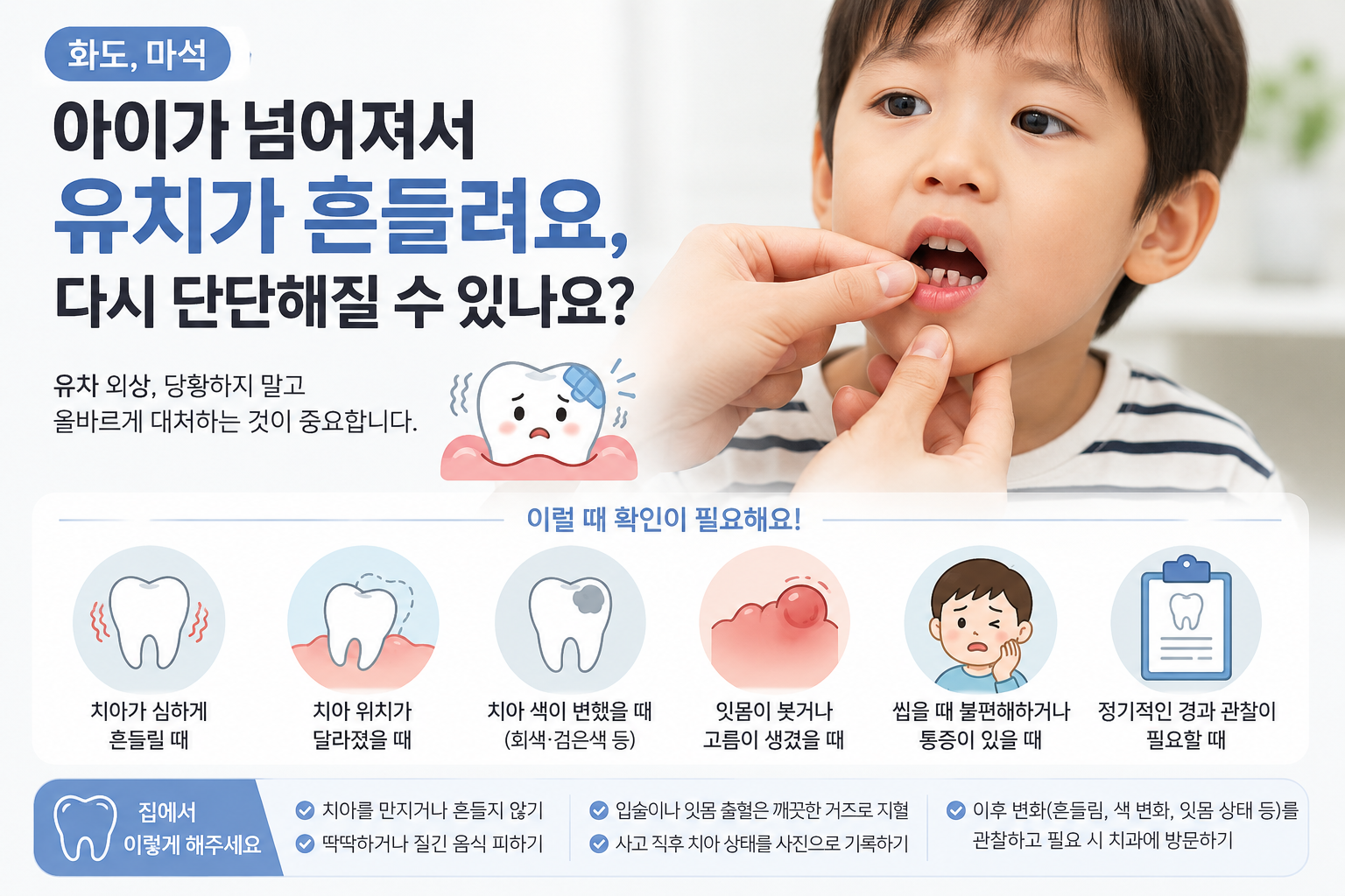 아이가 넘어져서 유치가 흔들려요, 다시 단단해질 수 있나요?