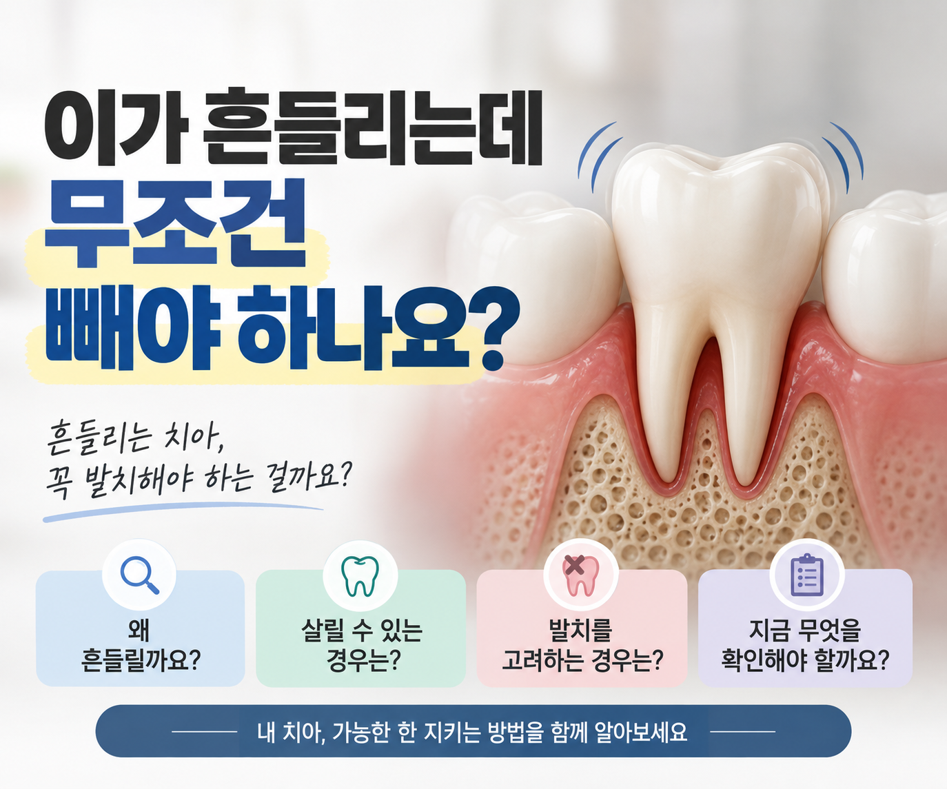 본문에 대한 설명