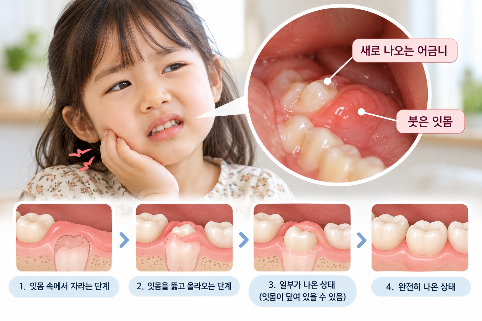 본문에 대한 설명