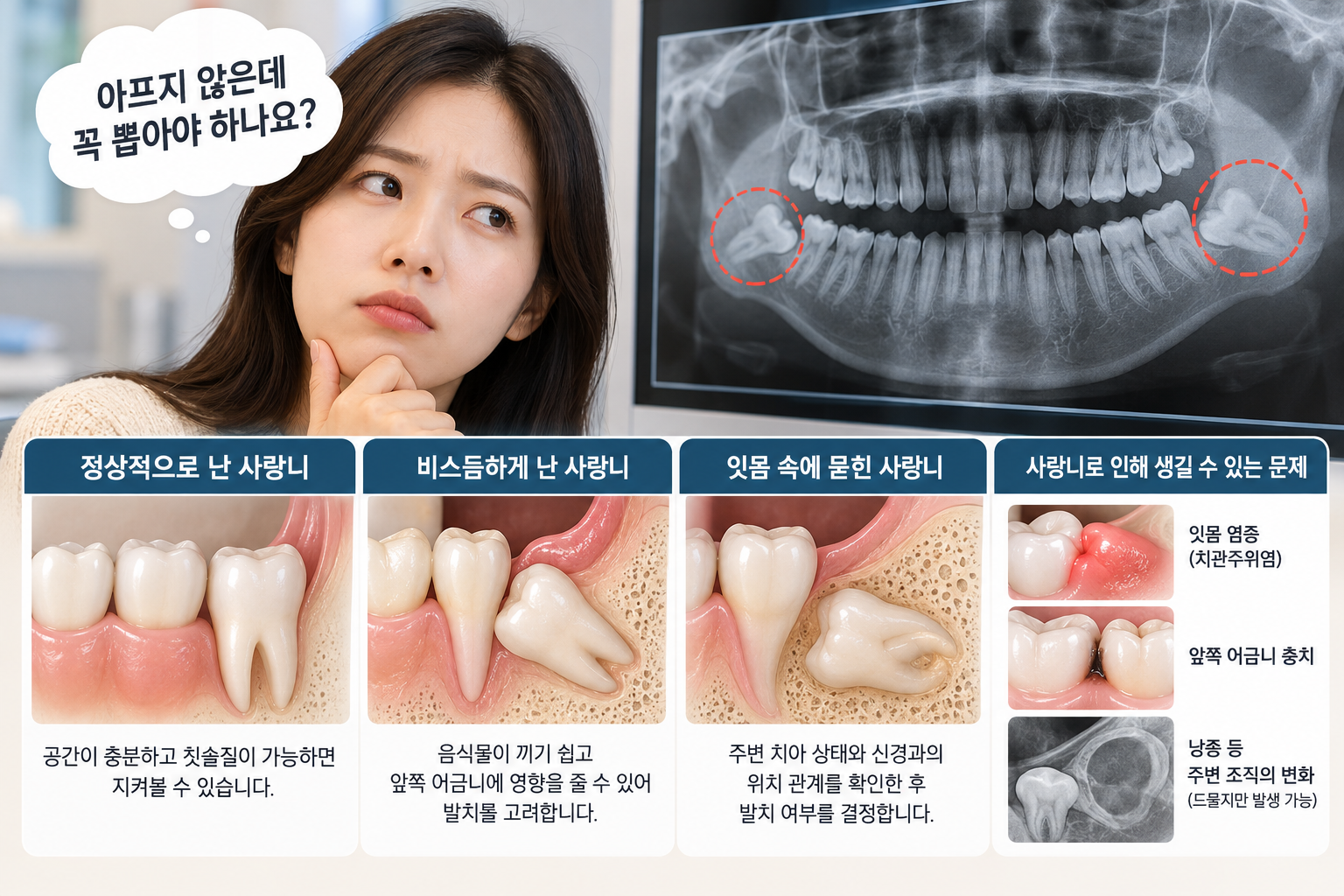 본문에 대한 설명