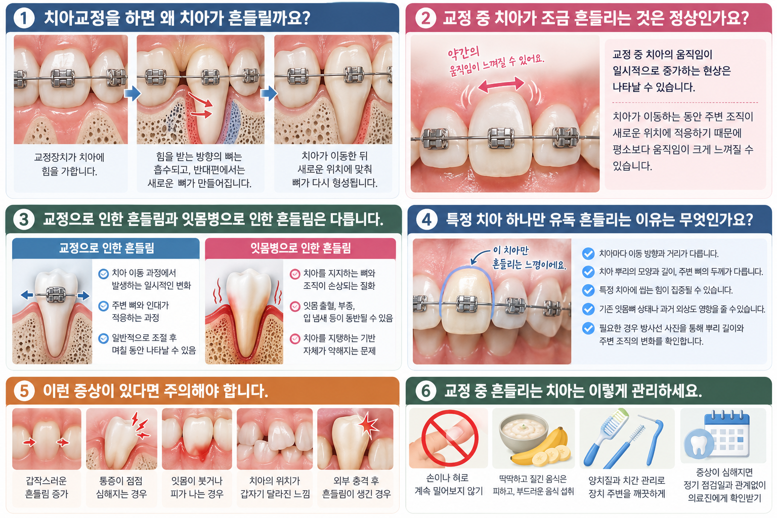 본문에 대한 설명
